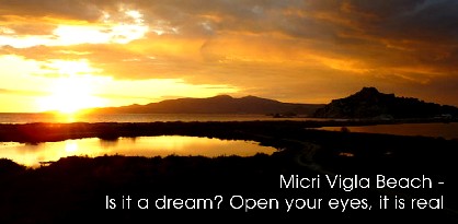 micri vigla beach party
